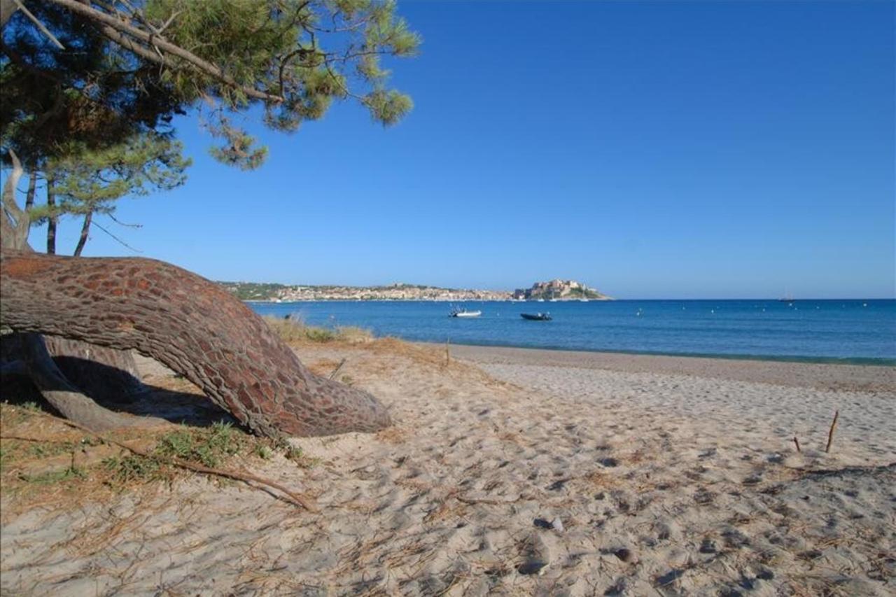 Location De Vacances Olivier Jardin Privatif Et Piscine Chauffee Partagee Calvi  Eksteriør bilde